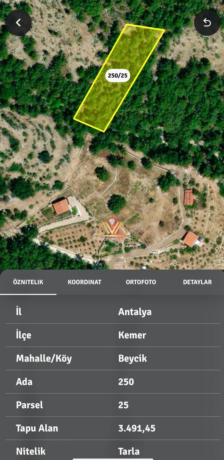 KEMER BEYCİK MAHALLESİNDE 250/25 ADA PARSELLİ SATILIK TARLA 